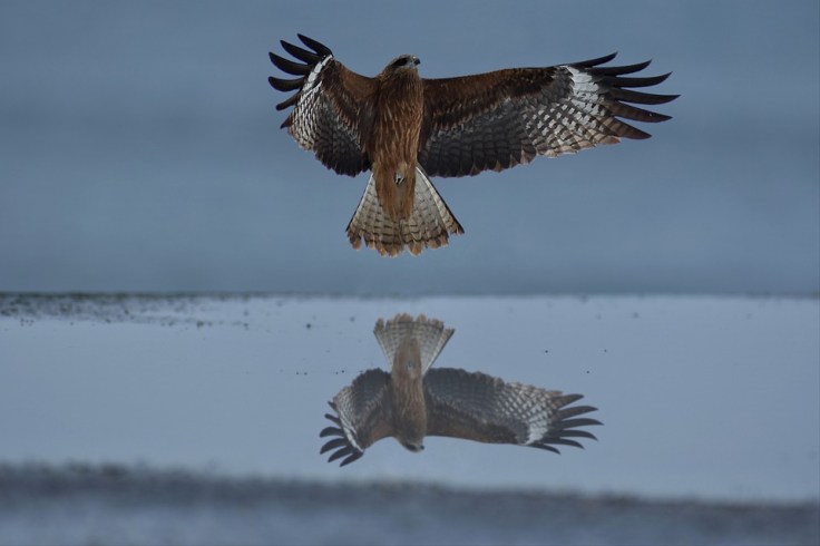 Software-Engineering – agile Pattern und agile Antipattern: Retrospektive Antipattern (Teil&nbsp;3)